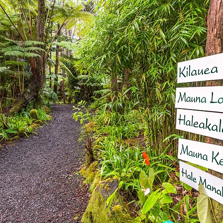 Volcano Village Lodge-2